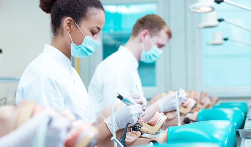 Dentistry Students in Lab