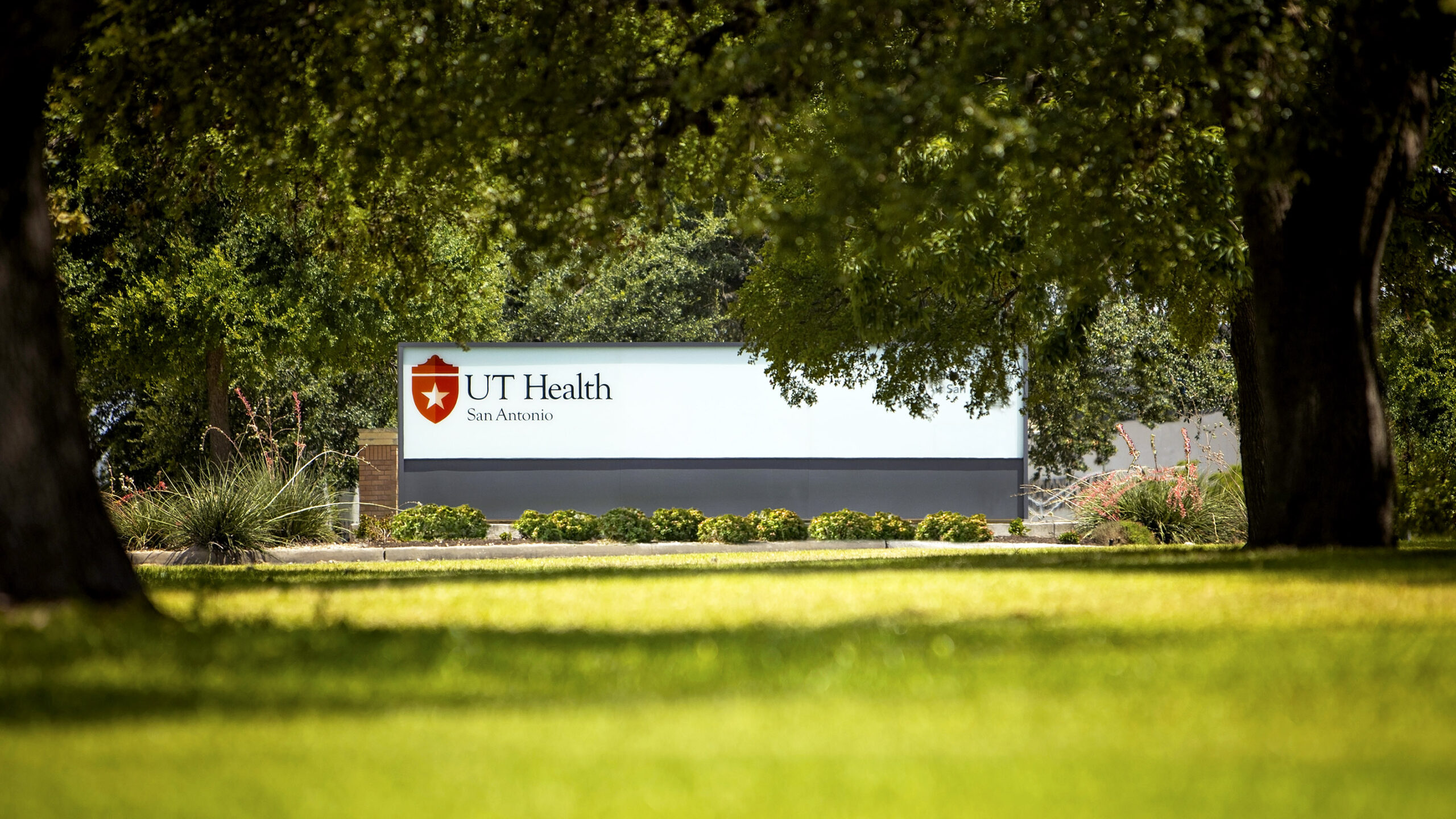 UT Health San Antonio evergreen campus