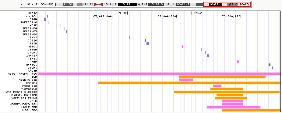 image of UCSC Genome Browser