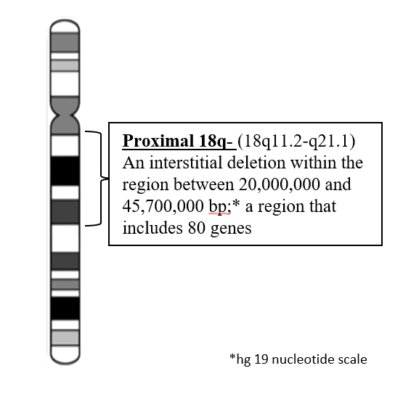 ideogram of chromosome 18 with text describing proximal 18q-. (18q11.2-q21.1) An interstitial deletion within the region between 20,000,000 and 45, 700,000 basepairs;* a region that includes 80 genes. *hg 19 nucleotide scale.