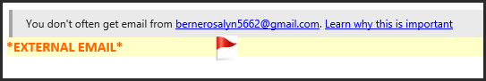 Screenshot of the External Email warning.