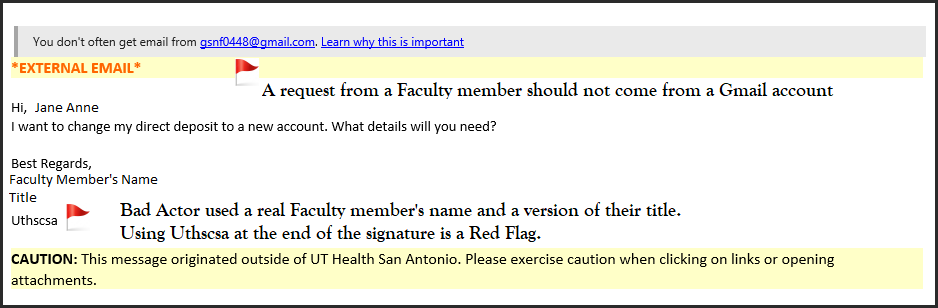 Screenshot of email with Red Flags noted.